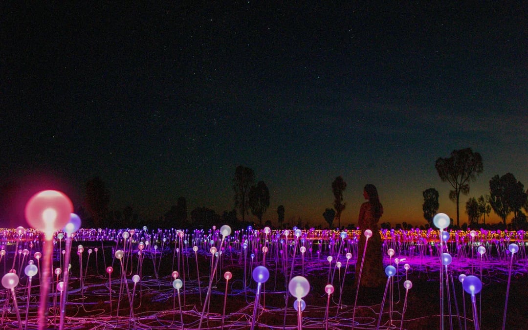 Sunrise Field of Light at Uluru with Beverages Image 7