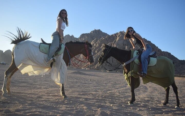 Sunrise Horseback Ride in Desert and Along Red Sea with Hotel Transfers – Hurghada Image 1