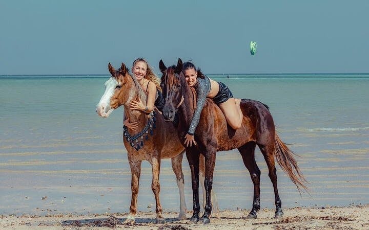Sunrise Horseback Ride in Desert and Along Red Sea with Hotel Transfers – Hurghada Image 2