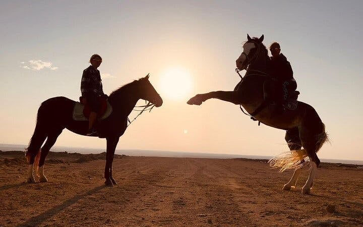 Sunrise Horseback Ride in Desert and Along Red Sea with Hotel Transfers – Hurghada Image 5