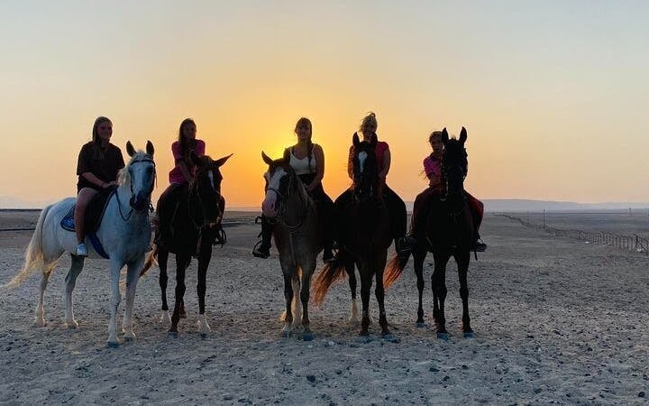 Sunrise Horseback Ride in Desert and Along Red Sea with Hotel Transfers – Hurghada Image 6