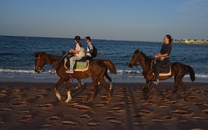 Sunrise Horseback Ride in Desert and Along Red Sea with Hotel Transfers – Hurghada Image 7