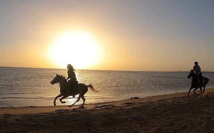 Sunrise Horseback Ride in Desert and Along Red Sea with Hotel Transfers – Hurghada Image 9