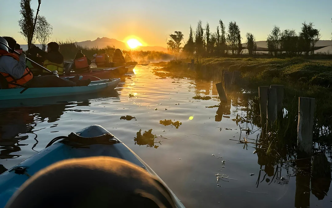 Sunrise Kayak Tour in Xochimilco Image 1
