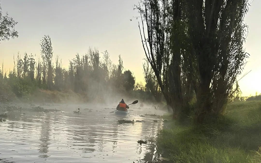 Sunrise Kayak Tour in Xochimilco Image 4