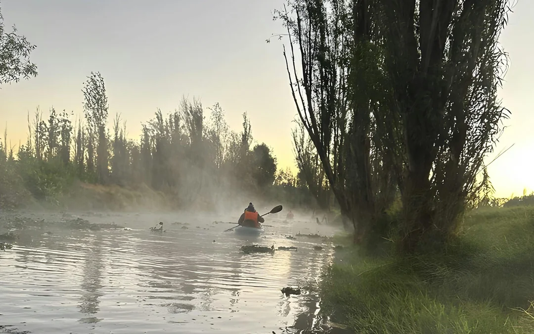 Sunrise Kayak Tour in Xochimilco Image 4