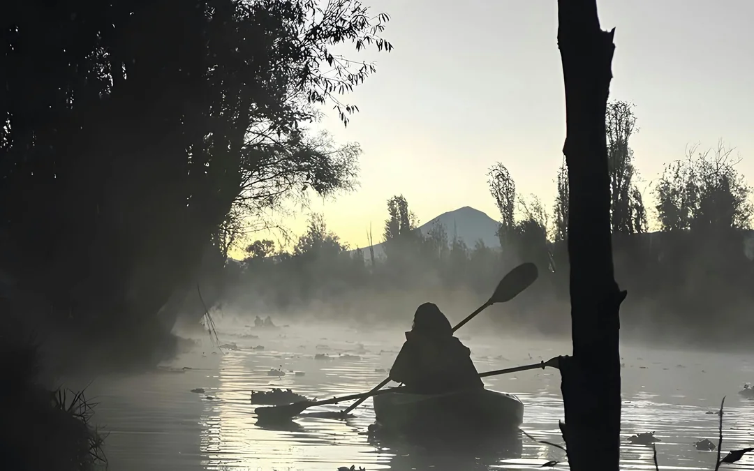 Sunrise Kayak Tour in Xochimilco Image 9