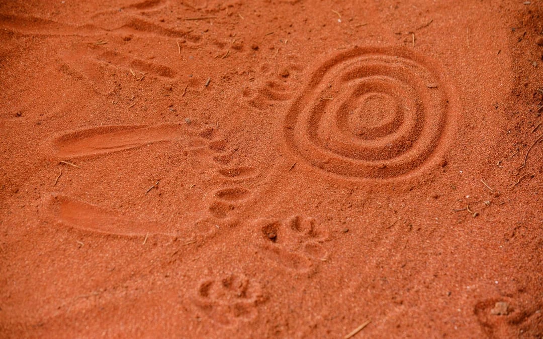 Sunrise Uluru & Kata Tjuta Half Day Tour with Aboriginal History & Refreshments Image 8
