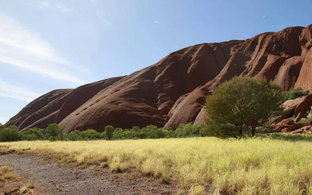 Sunset at Uluru: Sacred Sites Tour with Rock Art, Sparkling Wine, Cheeseboard and Hotel Transfers Image 4