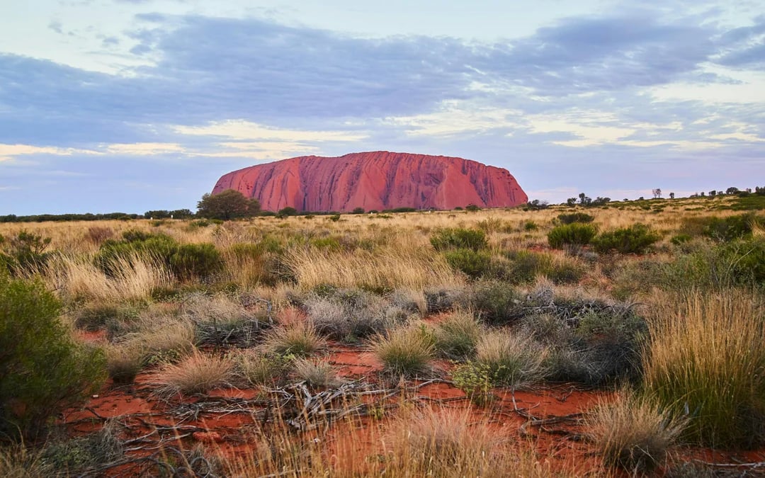 Sunset at Uluru: Sacred Sites Tour with Rock Art, Sparkling Wine, Cheeseboard and Hotel Transfers Image 7