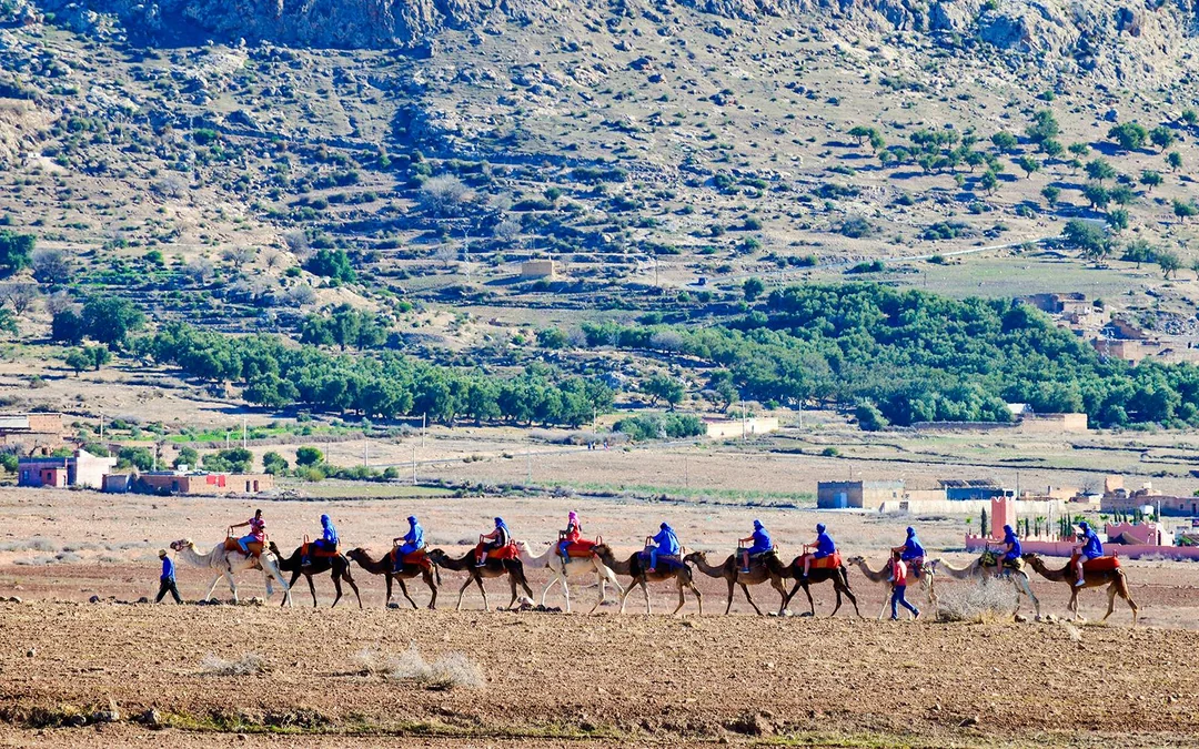 Sunset Desert Tour with Camel Ride, Dinner Show & Transfers Image 2