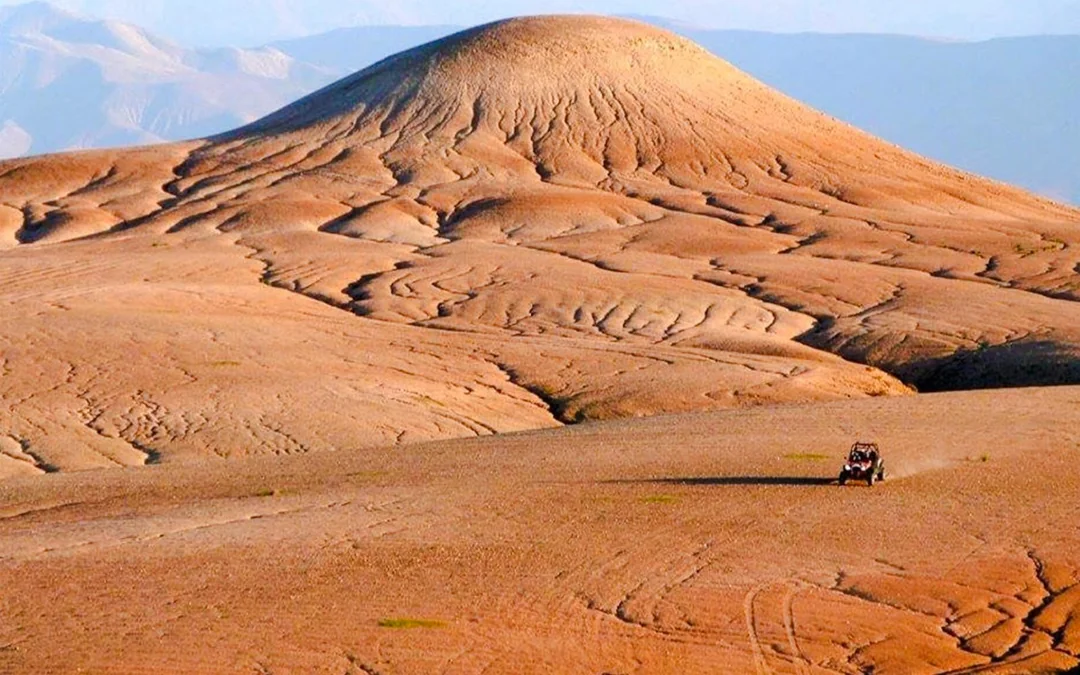 Sunset Desert Tour with Camel Ride, Dinner Show & Transfers Image 3