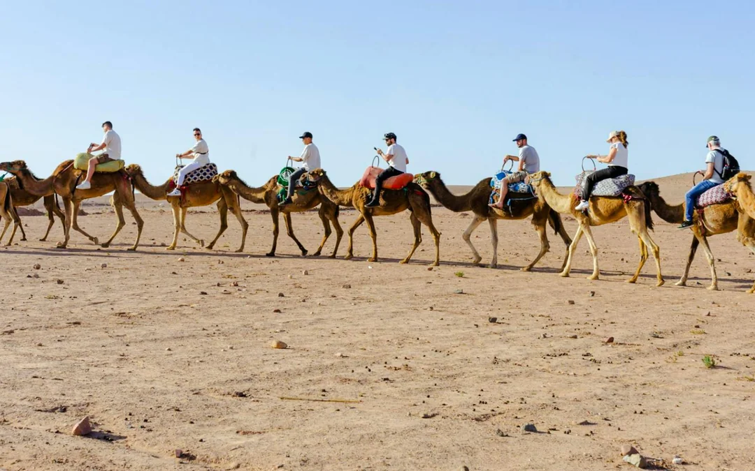 Sunset Desert Tour with Camel Ride, Dinner Show & Transfers Image 8
