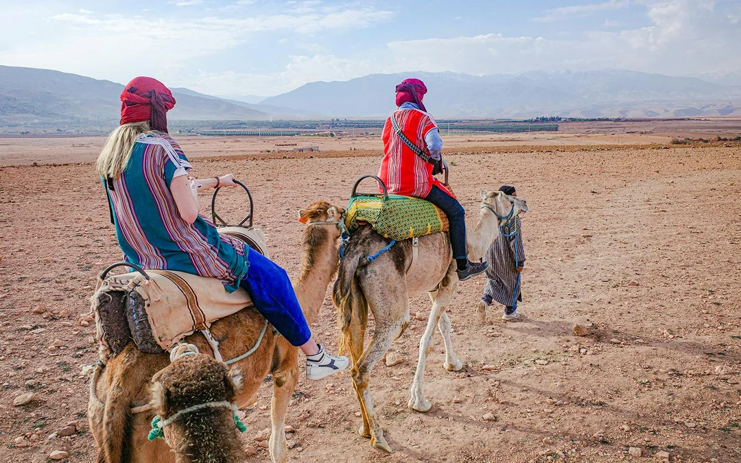 Sunset Desert Tour with Quad Bike, Camel Ride, Dinner Show & Transfers Image 3