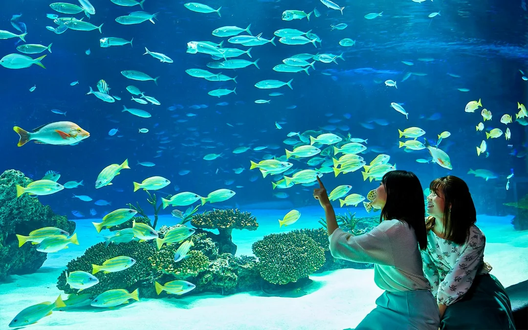 Sunshine Aquarium Tickets Image 2