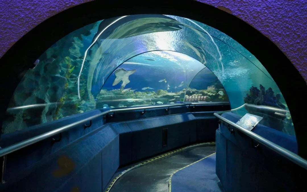 Super Saver Combo: Aquaria KLCC + Berjaya Times Square Theme Park Image 3
