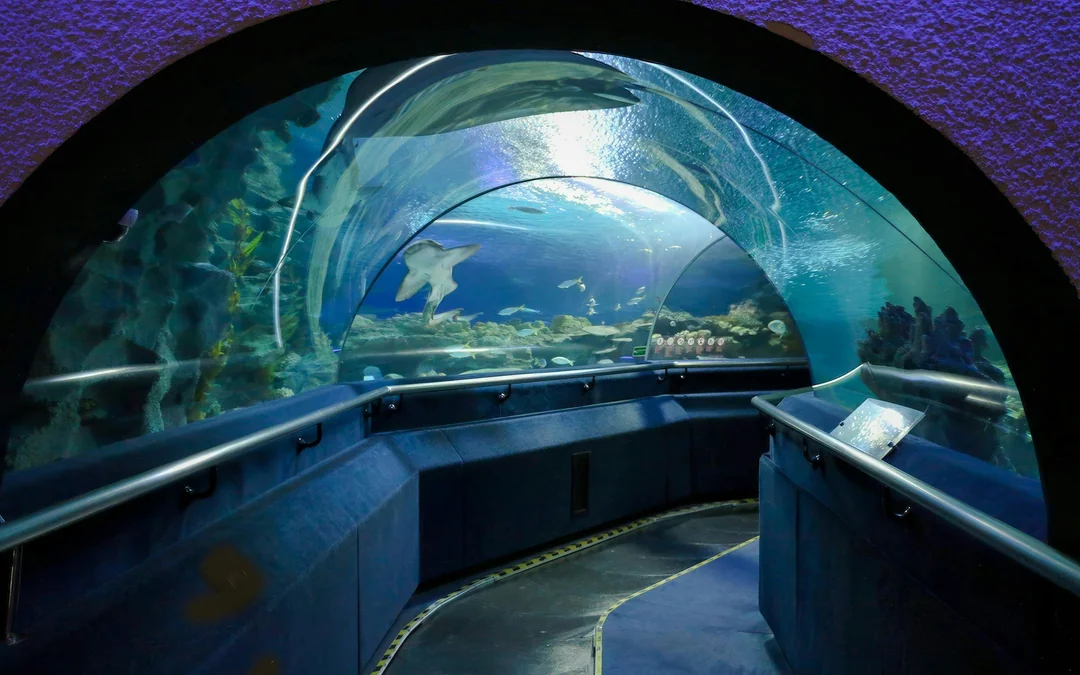 Super Saver Combo: Aquaria KLCC + Berjaya Times Square Theme Park Image 3