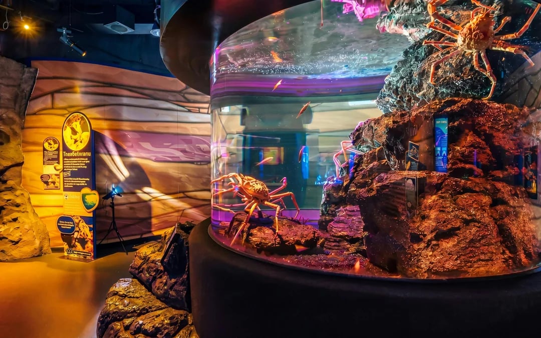 Super Saver Pass: SEA Life, Madame Tussauds, Glass Bottom Boat and 4D Movie Image 3