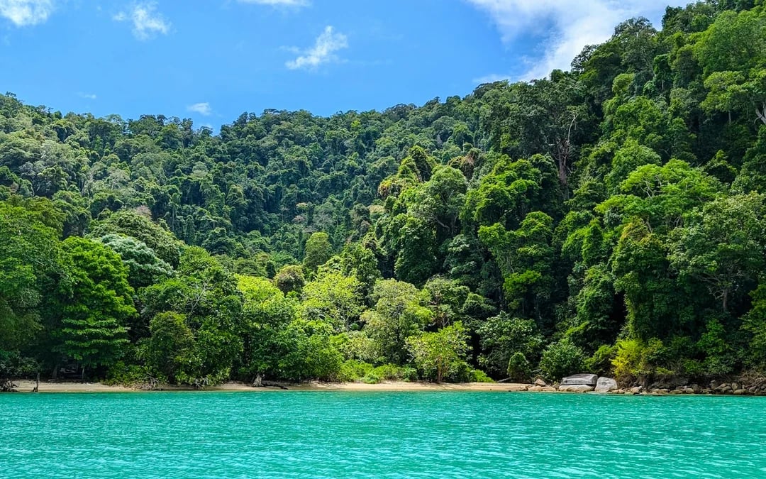 Surin Islands & Moken Village Snorkeling Day Tour From Phuket or Khao Lak Image 9