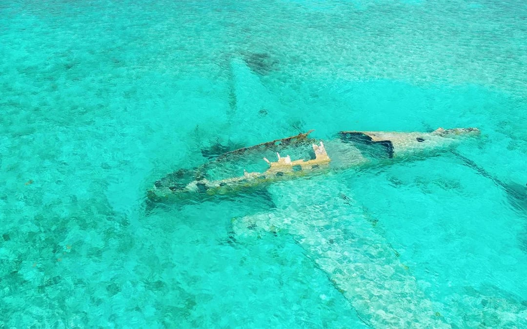 Swim with Pigs Private Boat Charter at Rose Island or Exumas Image 6