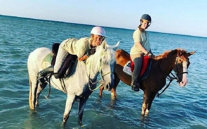 Swimming by Horse at Red Sea Beach & Desert with transfer - Hurghada Image 5