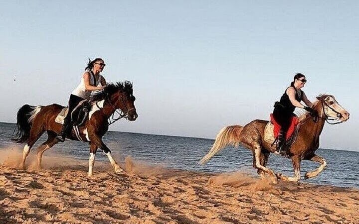 Swimming by Horse at Red Sea Beach & Desert with transfer - Hurghada Image 8