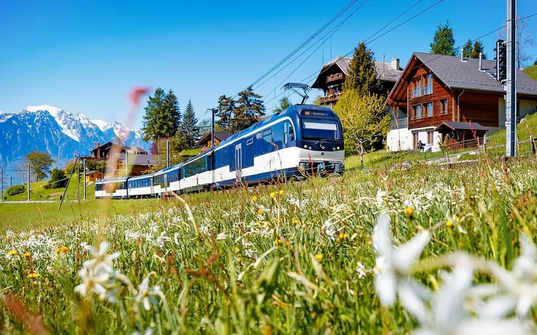 Swiss Half Fare Card: 50% Discount on Train, Bus & Boat Tickets for 1 Month Image 4