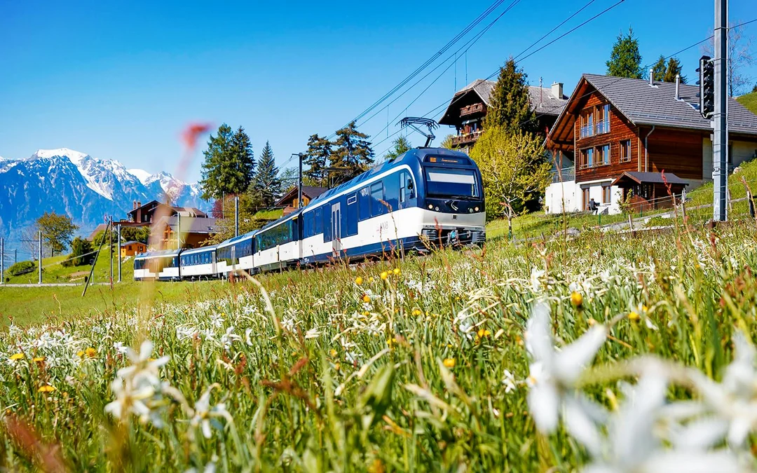 Swiss Half Fare Card: 50% Discount on Train, Bus & Boat Tickets for 1 Month Image 4