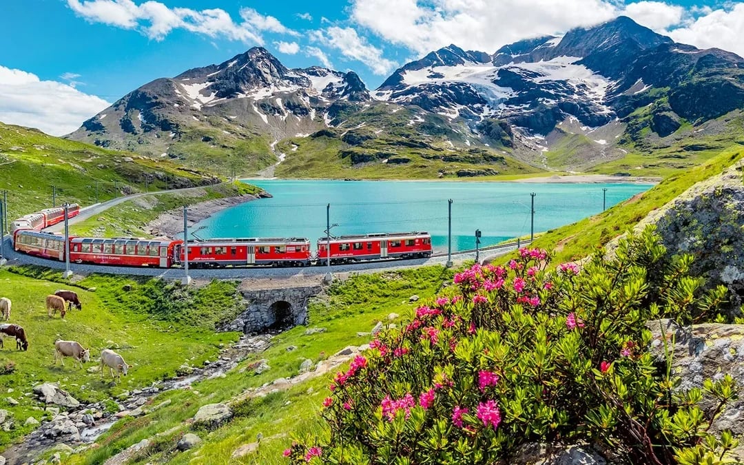 Swiss Half Fare Card: 50% Discount on Train, Bus & Boat Tickets for 1 Month Image 9