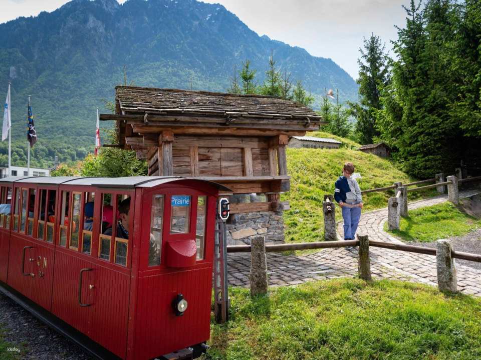 Ticket Swiss Vapeur Parc in Port Valais