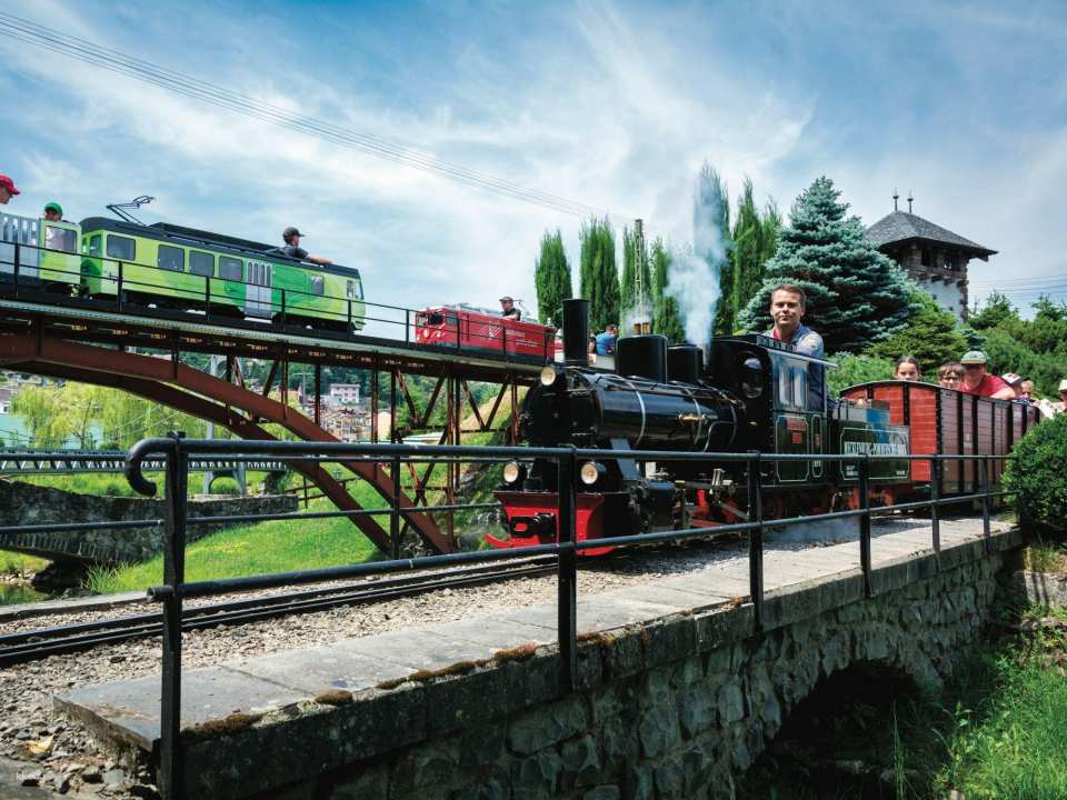 Ticket Swiss Vapeur Parc in Port Valais