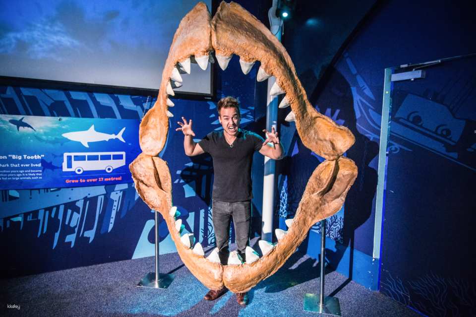 Sydney Attractions Combo Ticket｜Australia