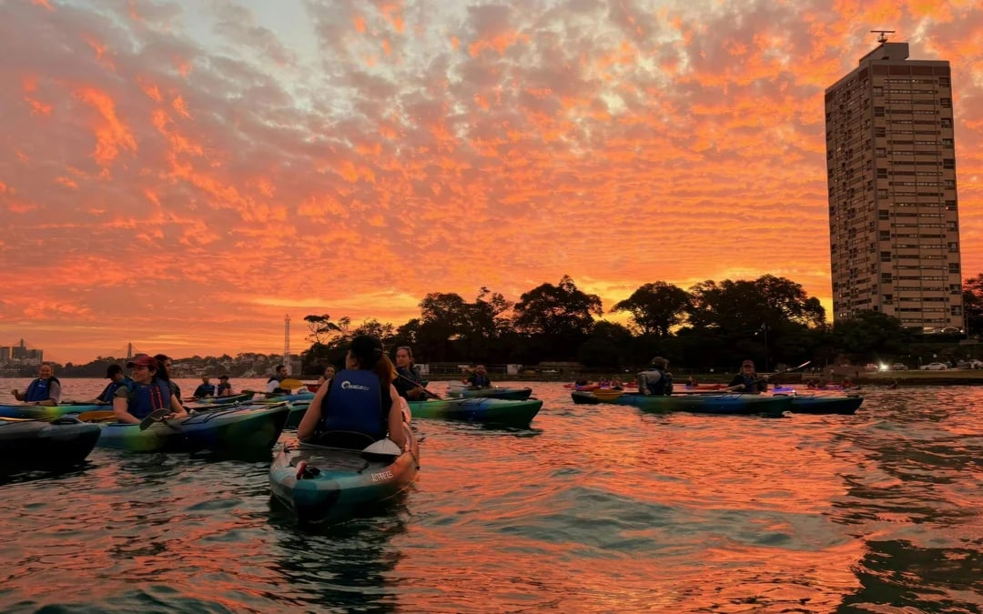 Sydney Habour Kayak Tours Image 6