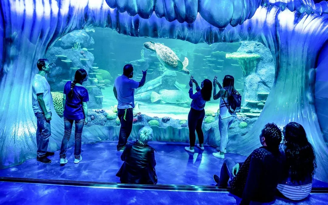 Sydney Multi-Attraction Pass Image 2