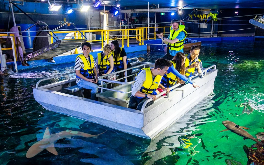 Sydney Multi-Attraction Pass Image 3