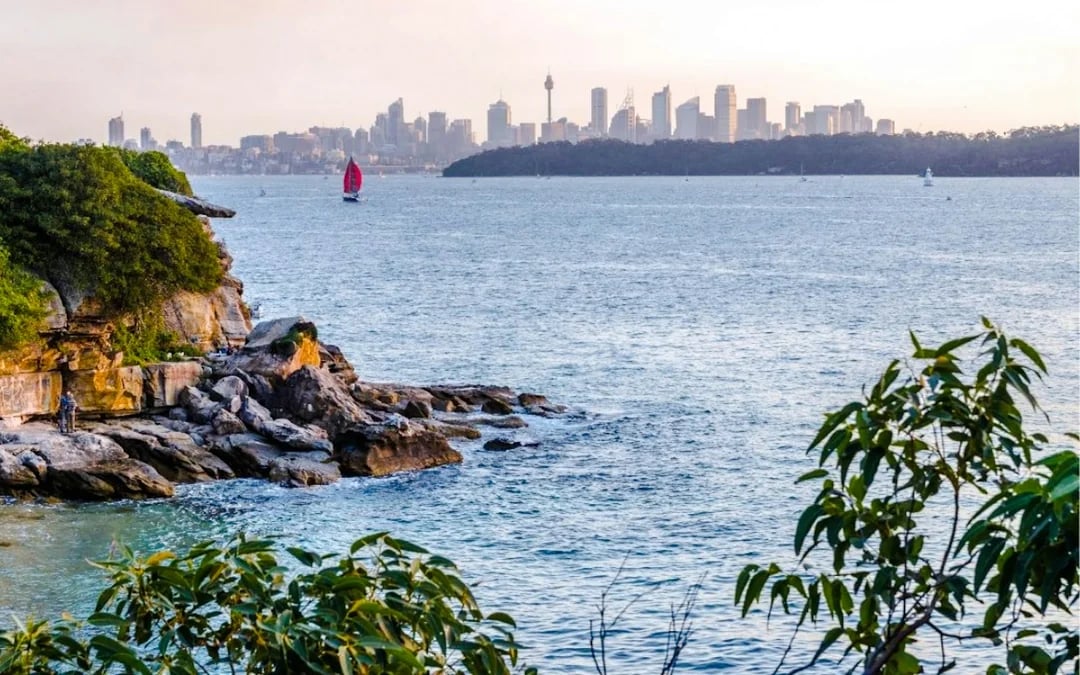 Sydney Watsons Bay Walking Tour with Ferry Tickets and Fish and Chips Lunch Image 1