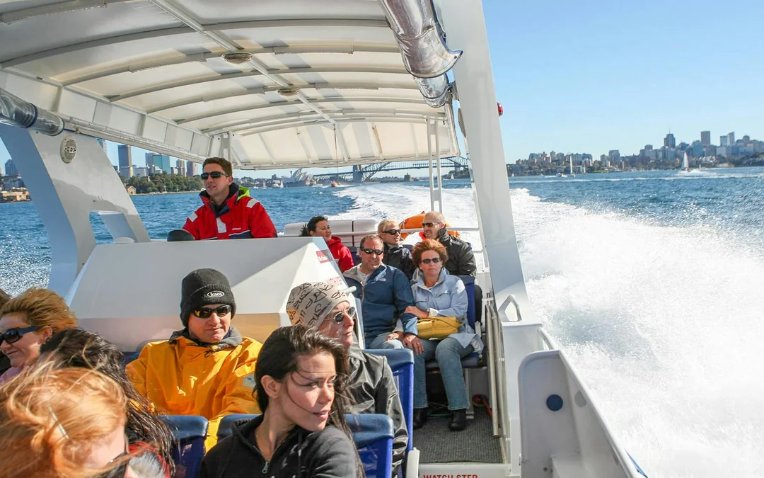 Sydney Whale Watching Cruise with 2-Day Hop-On Hop-Off Ferry Pass Image 2