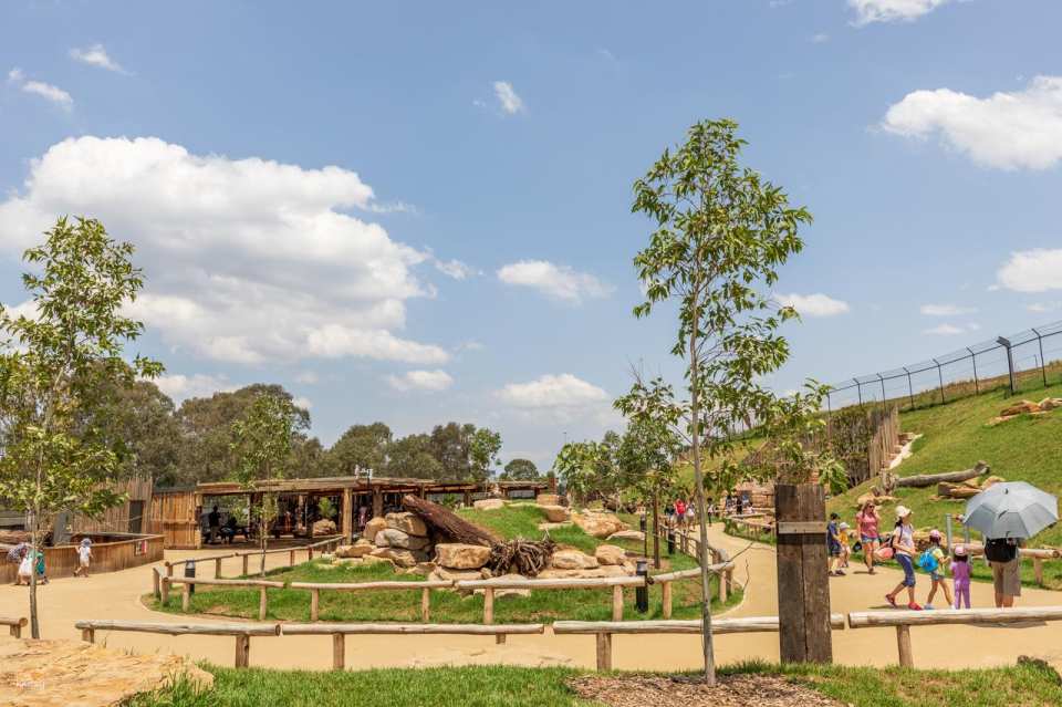 Sydney Zoo Entry Ticket | New Sales Wales