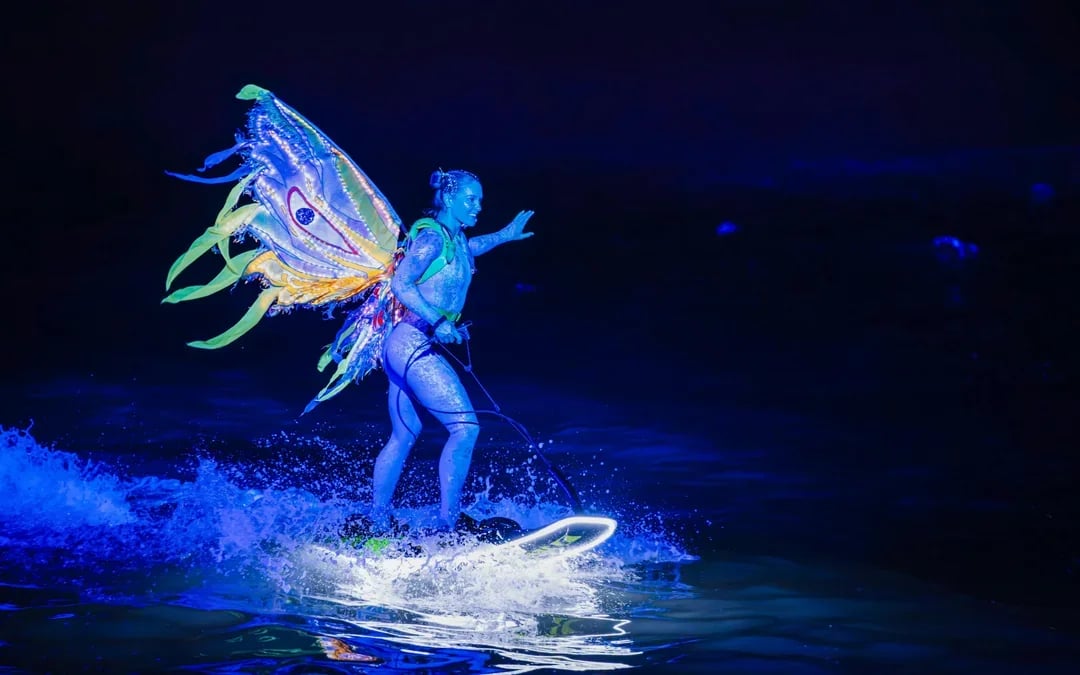 Symphony of the Sea Show With Dinner Options Image 7
