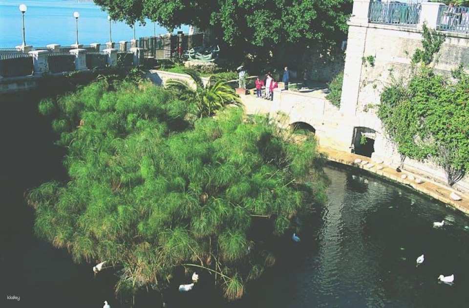 Syracuse and Ortygia Island guided tour from Taormina