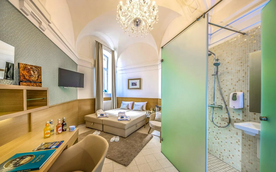 Széchenyi Spa: Fast Track Entry Tickets with Premium Day Spa Access and Private Cabin Image 3