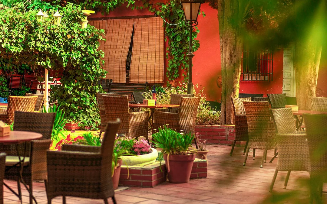 Tablao Jardines de Zoraya - Flamenco Show Image 7