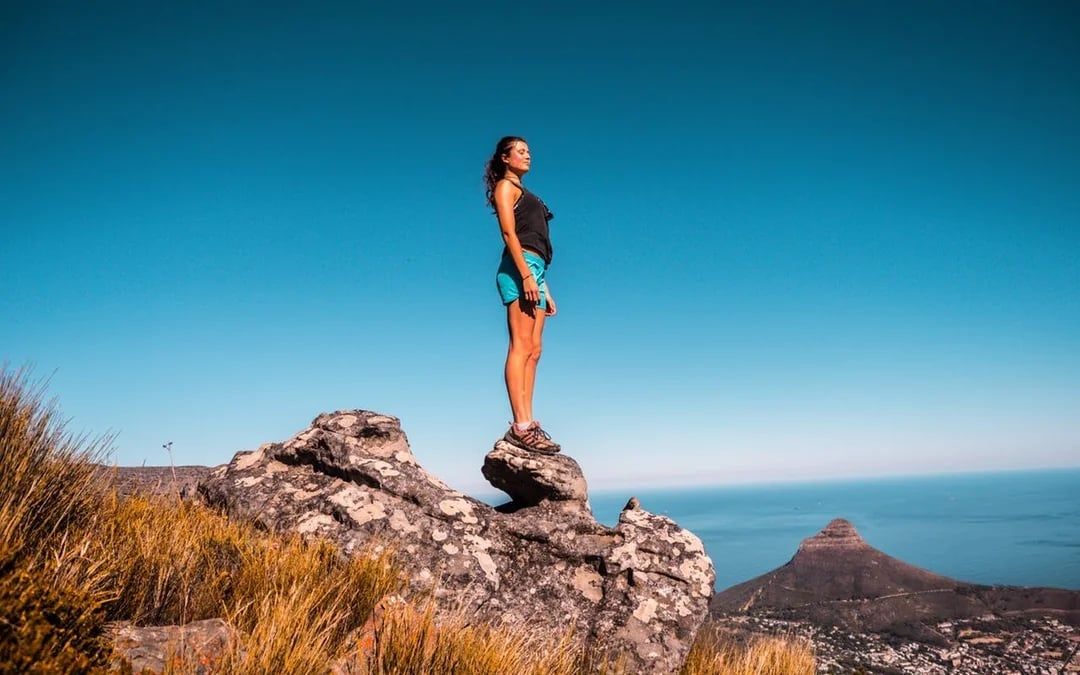 Table Mountain, Bo-Kaap, Cape Point & Penguin Viewing Sightseeing Tour with Hotel Transfers Image 4