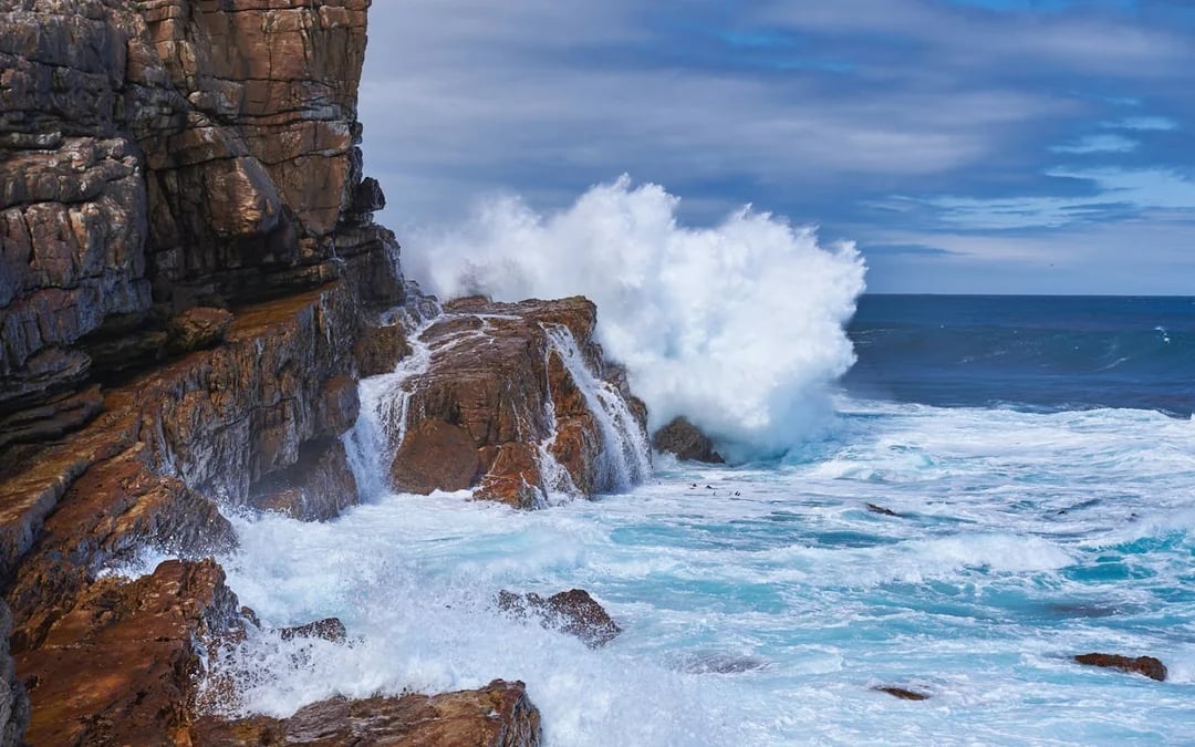 Table Mountain, Bo-Kaap, Cape Point & Penguin Viewing Sightseeing Tour with Hotel Transfers Image 7