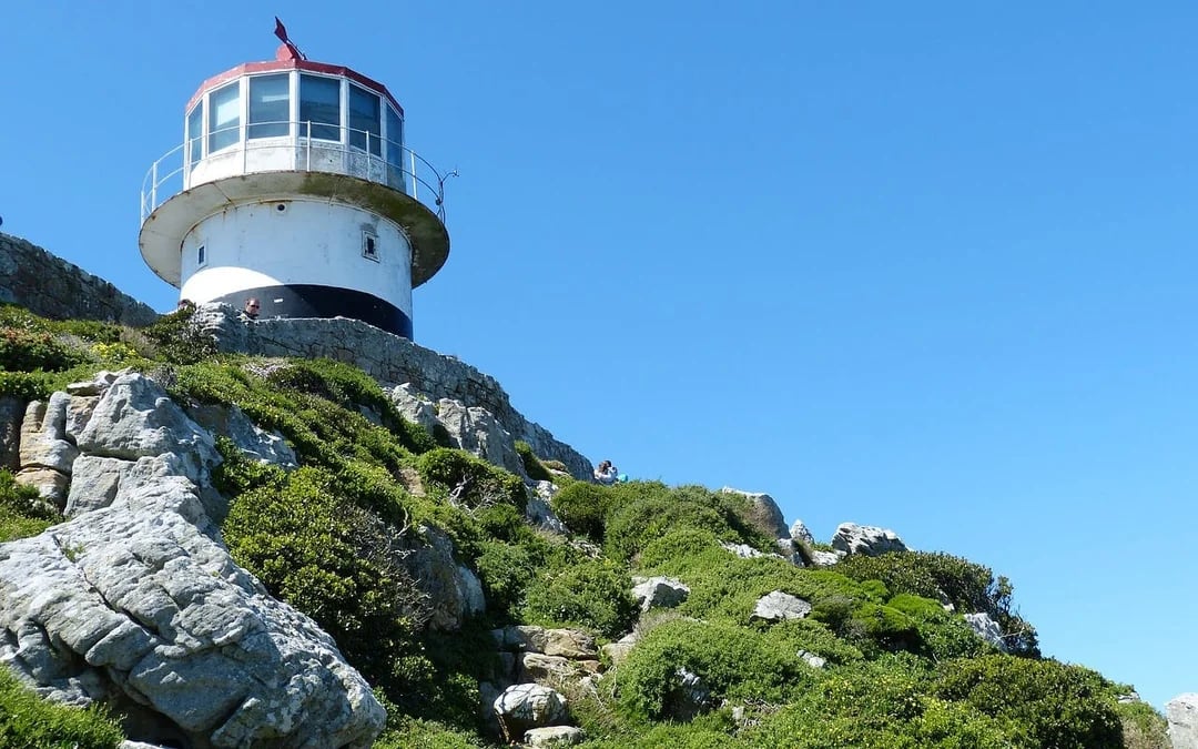 Table Mountain, Bo-Kaap, Cape Point & Penguin Viewing Sightseeing Tour with Hotel Transfers Image 9