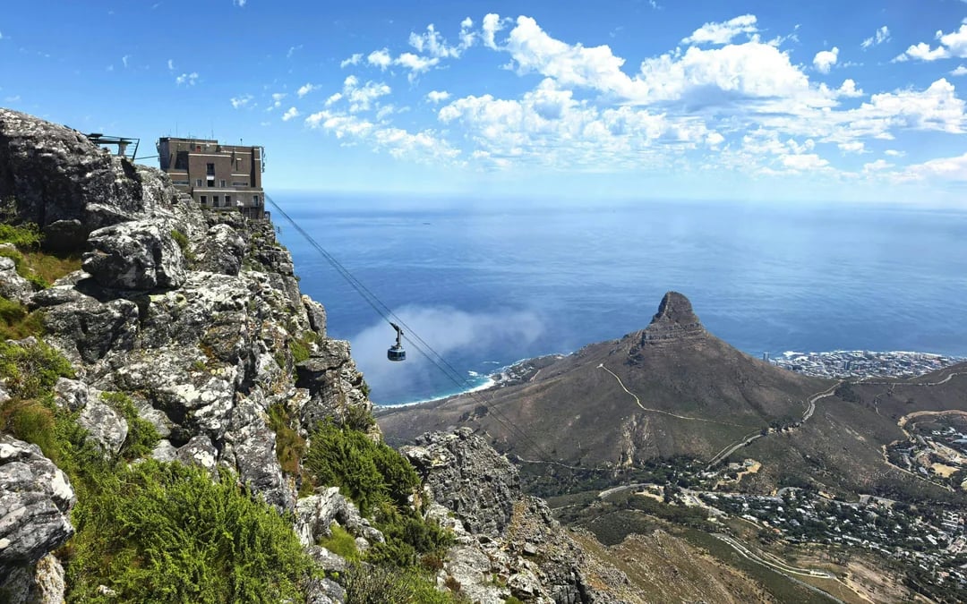 Table Mountain, Cape Point and Boulders Beach Penguins Guided Sightseeing Tour with Park Entry and Hotel Pickup in Cape Town Image 11