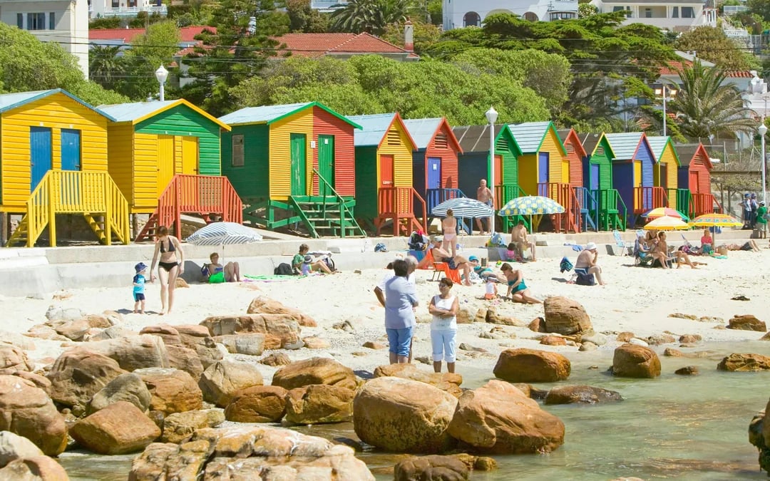 Table Mountain, Cape Point and Boulders Beach Penguins Guided Sightseeing Tour with Park Entry and Hotel Pickup in Cape Town Image 4