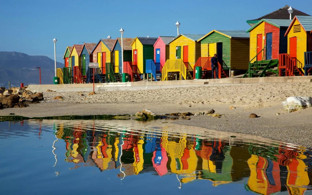 Table Mountain, Cape Point and Boulders Beach Penguins Guided Sightseeing Tour with Park Entry and Hotel Pickup in Cape Town Image 7