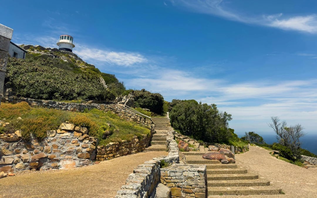 Table Mountain, Cape Point and Boulders Beach Penguins Guided Sightseeing Tour with Park Entry and Hotel Pickup in Cape Town Image 8