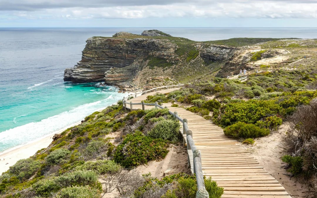 Table Mountain, Cape Point and Boulders Beach Penguins Guided Sightseeing Tour with Park Entry and Hotel Pickup in Cape Town Image 10